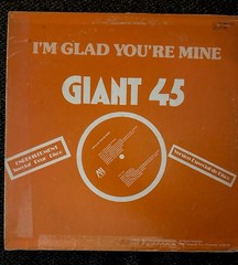 Davis Import – I’m Glad You’re Mine 12” Disco Mix AVI Records 1978