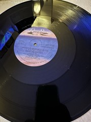Weeks And Co Rock Your World 12” Single 1981 Chaz Ro Disco Funk