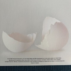 A Ghost is Born vinyl – Wilco – Nonesuch Rhino 2010s Pressing 2LP