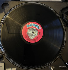 Kool G Rap & D.J. Polo Wanted: Dead Or Alive – Vinyl – (VG+)
