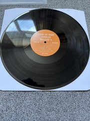Thee Oh Sees Singles Vol 1 + 2 Castle Face 2011 Double LP Osees
