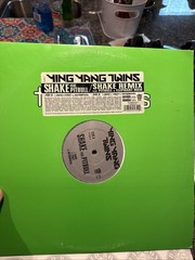 Lot of 20 Rap/Gangsta/Hip-Hop Lp’s 12″ Singles 1990’s-2000’s DMX Lil Jon more #1