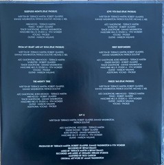 Dinner Party – Dinner Party (LP, Album) (Mint (M)) – 4248706386