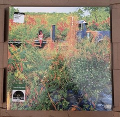 Jhene Aiko Trip 2LP Picture Disc Vinyl RSD Record Store Day 2026 New & Sealed ✅