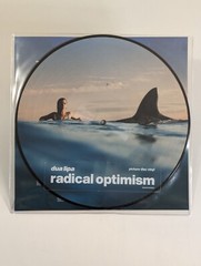 Dua Lipa Radical Optimism Limited Edition Spotify Fans First Picture Disc Vinyl