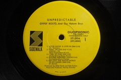 Gypsy Boots And The Nature Boys Rock LP Unpredictable on Sidewalk