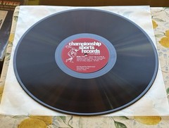 Curt Gowdy Talks With Carl Yastrzemski Vinyl-LP Record Fleetwood 1968 FCLP 3026