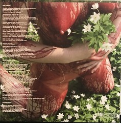 Lifelover – Pulver LP 2026 Osmose Productions – OPLP213 [Black] [New] *FR