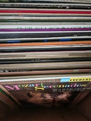 Lot Of 5 Vinyl LP Record 12” Classic Music – Rendom