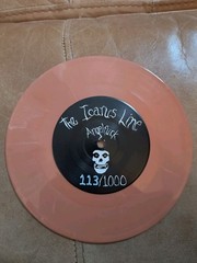 Icarus Line / Burning Brides Misfits Covers Split 7″ Buddyhead