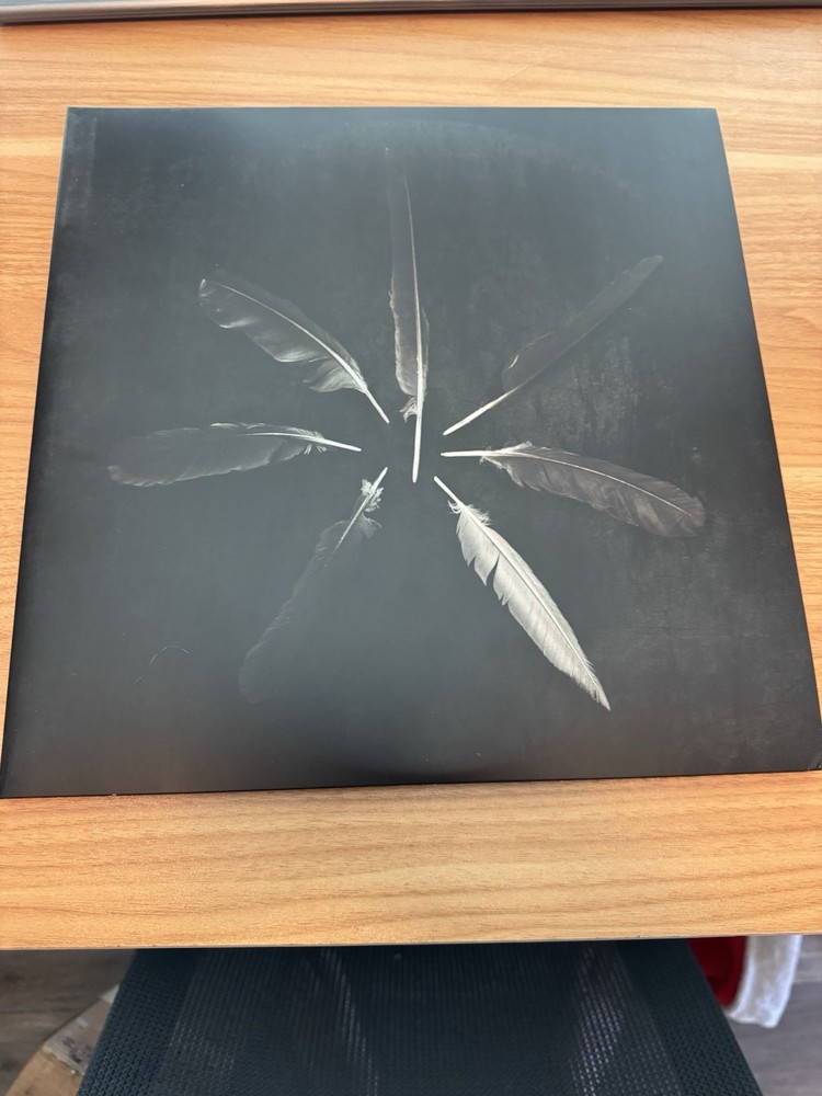 Caspian Dust and Disquiet (White Vinyl LP, Triple Crown, Rock, 2010s)