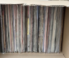 Mixed Vinyl Record Lot (READ DESCRIPTION)