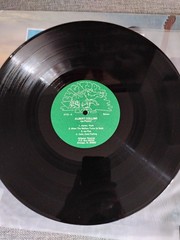 Albert Collins – Ice Pickin’ vinyl 1978 AL4713 Alligator green label Texas Blues