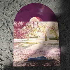 Taylor Swift Speak Now (Taylor’s Version) USED LP 12″ Vinyl Record