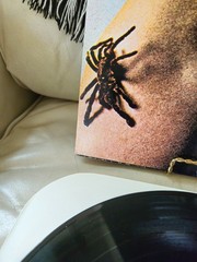 ORIGINAL COVER CONTRASTS BLONDE 1969 PSYCH MASTERPIECE VINYL LP CHEESECAKE NM/EX