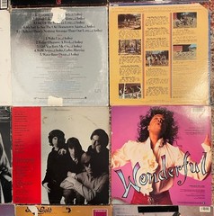 Vintage Vinyl Record Lot of 17 LPs – 70s 80s Rock Pop Soul Country Doors Summer
