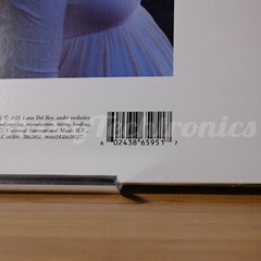 Lana Del Rey Blue Banisters Transparent Yellow Limited Edition 2LP Vinyl – NEW