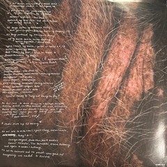 Mannequin Pussy – I Got Heaven (LP) (Mint (M)) – 4215954552
