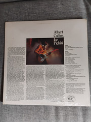 Albert Collins – Ice Pickin’ vinyl 1978 AL4713 Alligator green label Texas Blues