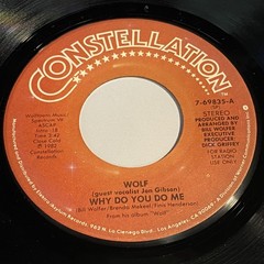 Wolf: Why Do You Do Me (mono) / (Same) (stereo) 45 – Constellation – Soul