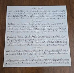 Paddy Carty, Mick O’Conner Traditional Music Of Ireland LP Shanachie 1978 Celtic