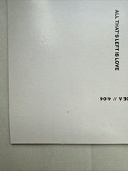2020 | AVA | All That’s Left Is Love – Angels & Airwaves 7” Vinyl | Clear Splat.