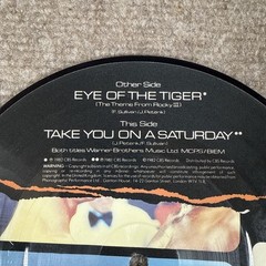 1982 Survivor Eye of the Tiger Picture Disc 7″ Vinyl Record Theme Song Rocky III