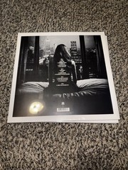 Lana Del Rey Splendour in the Park [Import] (2 Lp) Records & LPs New