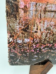 Black Sabbath – Self Titled Debut – LP Album Vinyl Vintage WS 1871