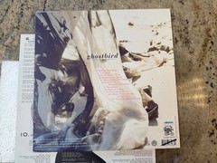 12″ Clear Vinyl Record – Zee Avi – Ghostbird – 2011 Brushfire Records