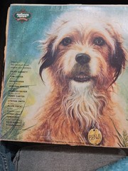 VINYL RECORD JOE CAMP’S THE STORY OF BENJI KID STUFF RECORDS KSS 5015