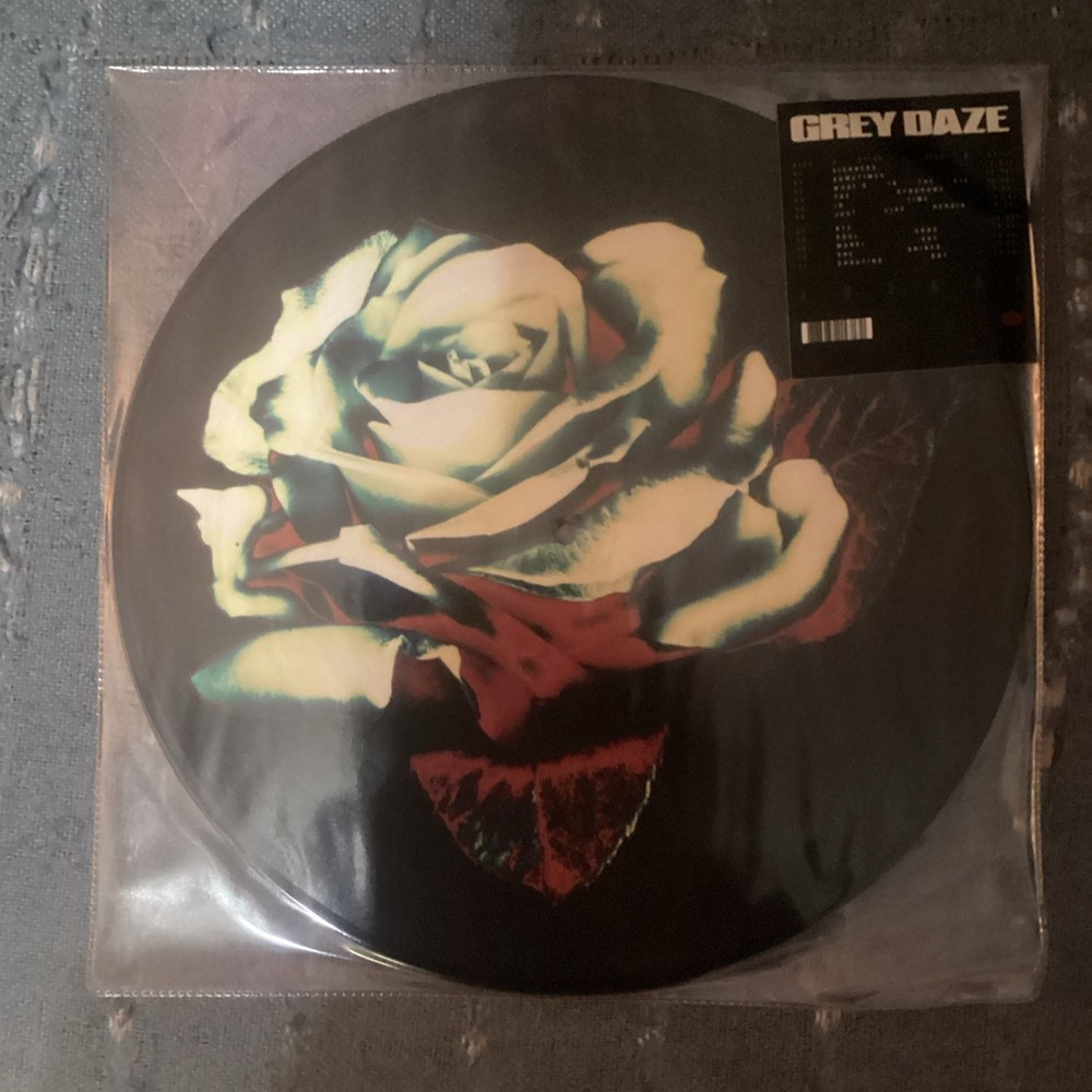 Grey Daze Amends Picture Disc Vinyl LP Multicolor Plastic Slipcover