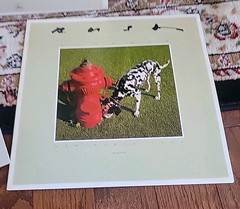Rush Signals Vinyl LP 1982 Mercury SRM-1-4063 With Lyric Insert