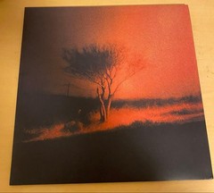 Joji Piss In The Wind Vinyl Record Indie Rock 2020s Rare Collectible