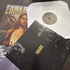 Lana Del Rey- a tunnel under Ocean Blvd ,Ultraviolence, Born To Die, Paradise