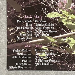 Nicole Dollanganger Natural Born Losers Deluxe Flower & Blood Vinyl 2LP Sealed