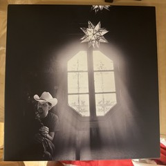 Sparklehorse Box Of Stars Vinyl LP Collection Vinyl Me Please Exclusive Box Set