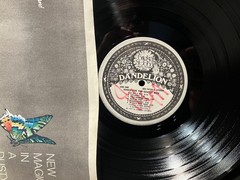 BRIDGET ST JOHN – SONGS FOR A GENTLE MAN PROMO LP RON GEESIN