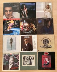 30 MYSTERY VINYL RECORDS Music Albums, LP Bulk Lot of Vintage w/ Sleeves, G-VG