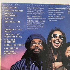 Third World-Sense of Purpose-12″Vinyl Record-1985 US-EX