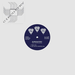 CIRCUITRY feat. ELECTRO WAYNE “Freak” PPU-088 SYNTH BOOGIE FUNK 12″