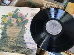 RANDOM VINYL RECORDS Music Albums, LP Bulk Lot of 20 Vintage with Sleeves, G-VG