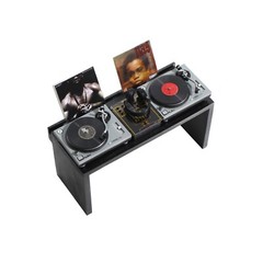 MINIATURE VINYL – HIPHOP RNB – VARIOUS TITLES Exquisite miniatures made by Japan