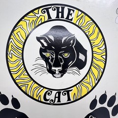 UNKNOWN ARTIST: The Cat – Custom Audio Traxx /Creative Advertising Thematics