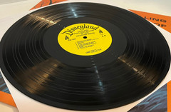 Chilling Thrilling Sounds Of Haunted House (Halloween)- 12″ Vinyl Record LP – EX