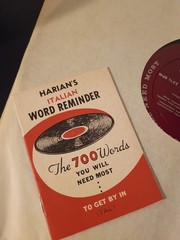 The 700 Words You Will Need Most In Italy, Vinyl Lp Tested Harian Publications
