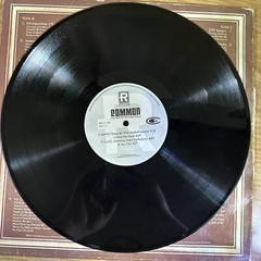 COMMON – ONE DAY IT’LL ALL MAKE SENSE 2xLP OG 1997