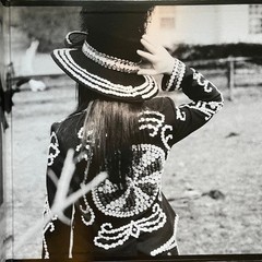 The White Stripes – Icky Thump | 2LP | 180g Blues Rock/Garage Rock Album