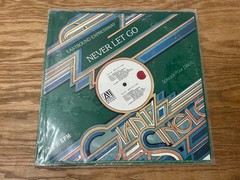 Eastbound Expressway Never Let Go 12” Disco Single AVI-12-238-D VG AVI Records