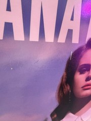 Lana Del Rey Born to Die Vinyl Record Format – Record Release Title Born to Die